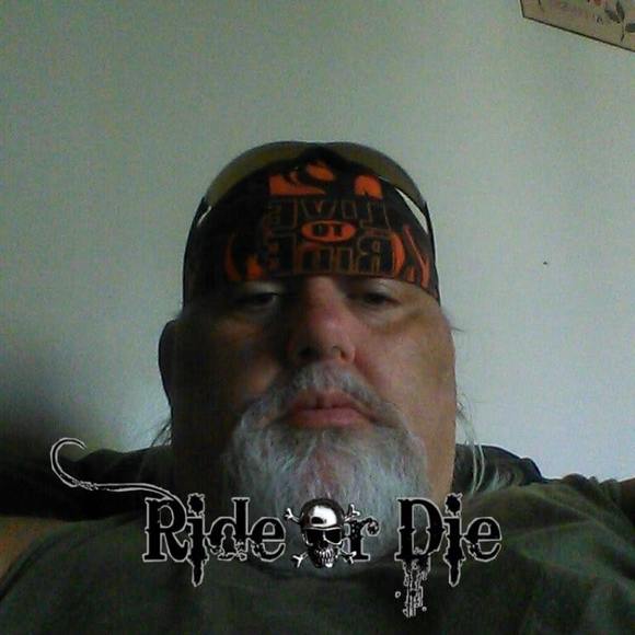 Meet your Posher, Roy - Picture 1 of 1